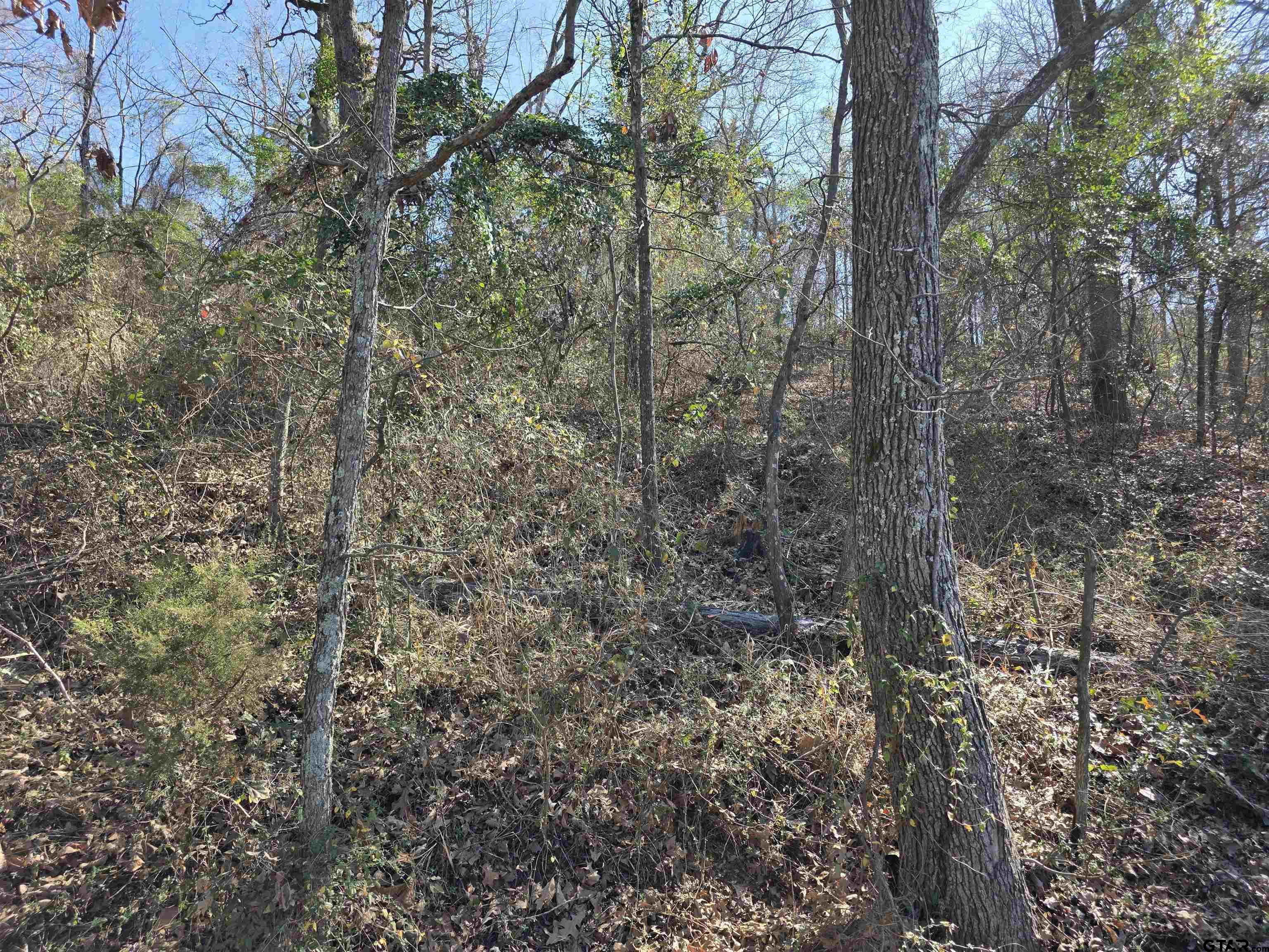 000 County Road 1420