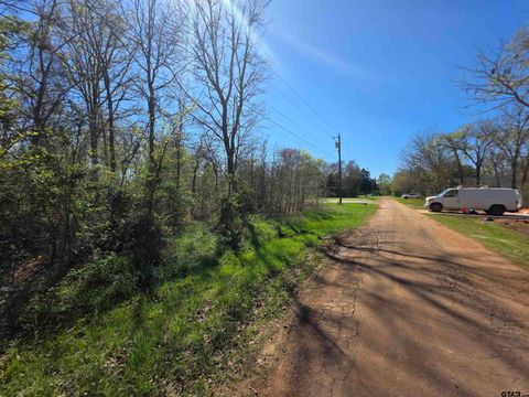 174 Oxford Bullard TX 75757