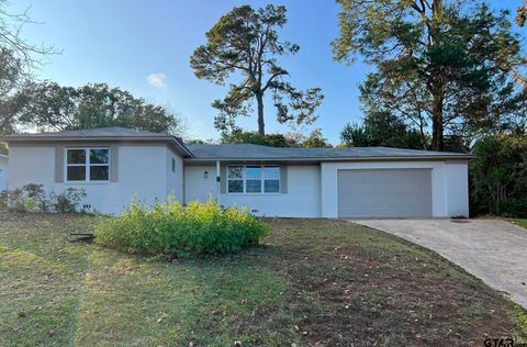 2923 Birdwell Drive Tyler TX 75701