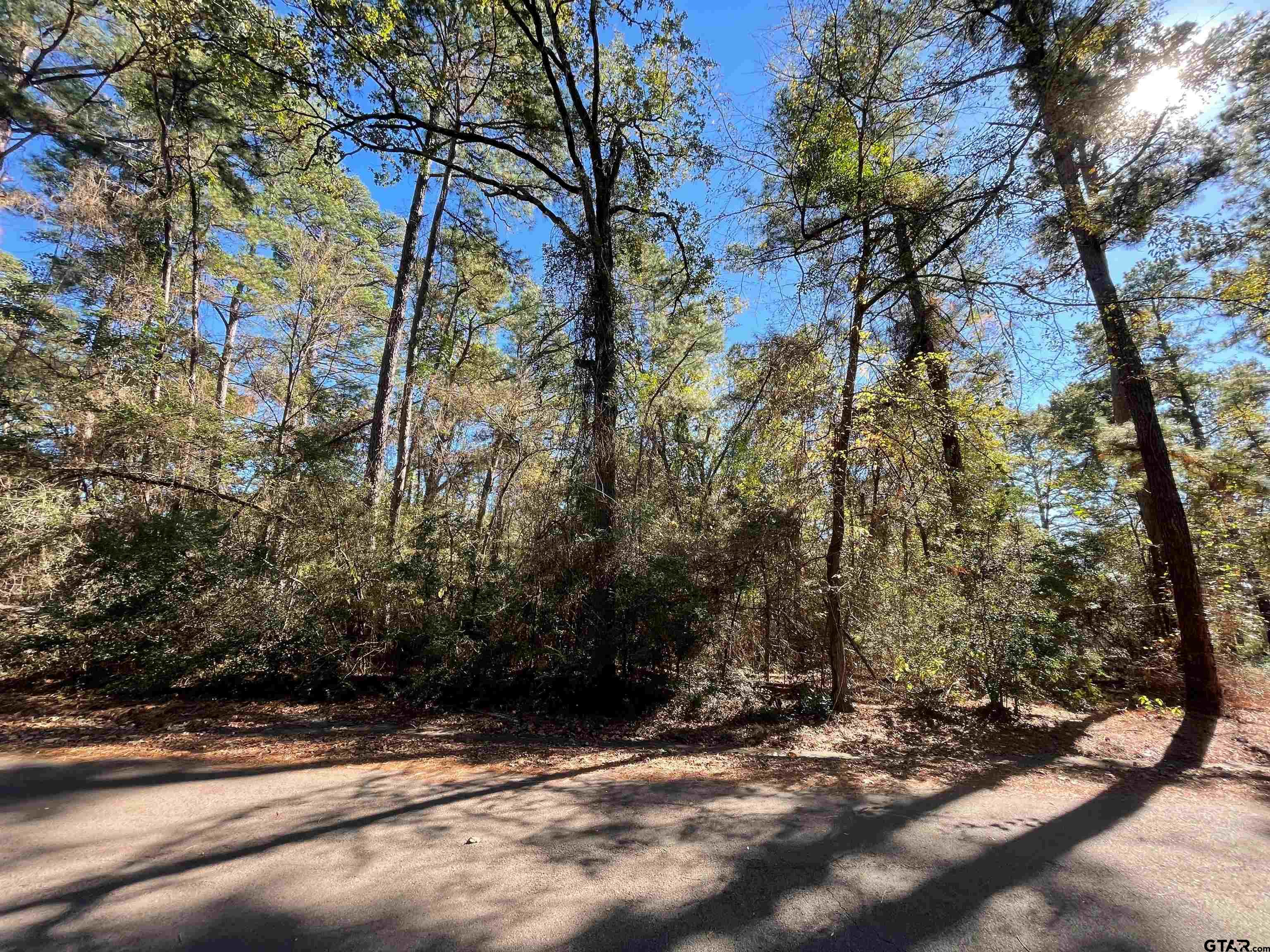 TBD Autumn Wood Trail