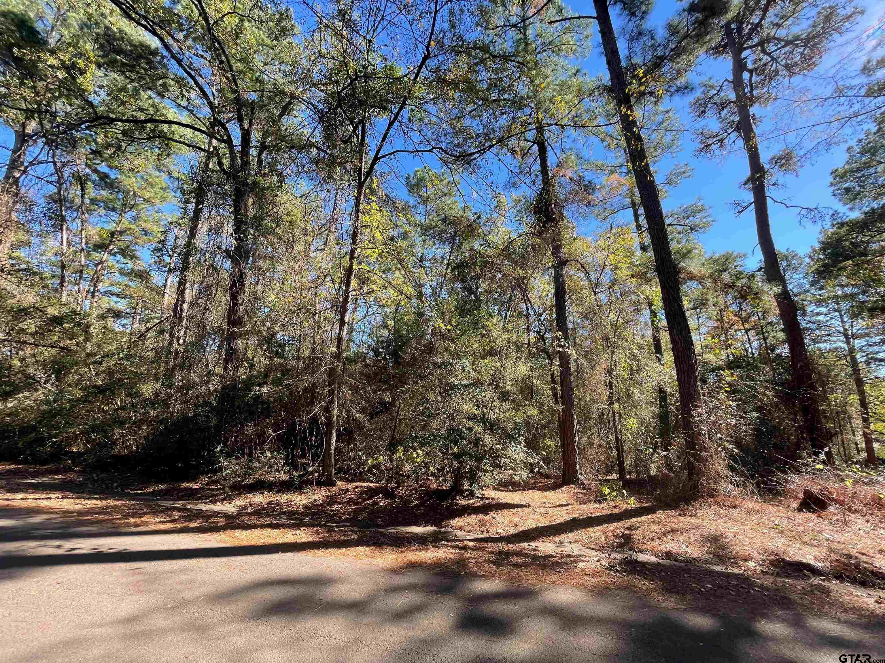 TBD Autumn Wood Trail