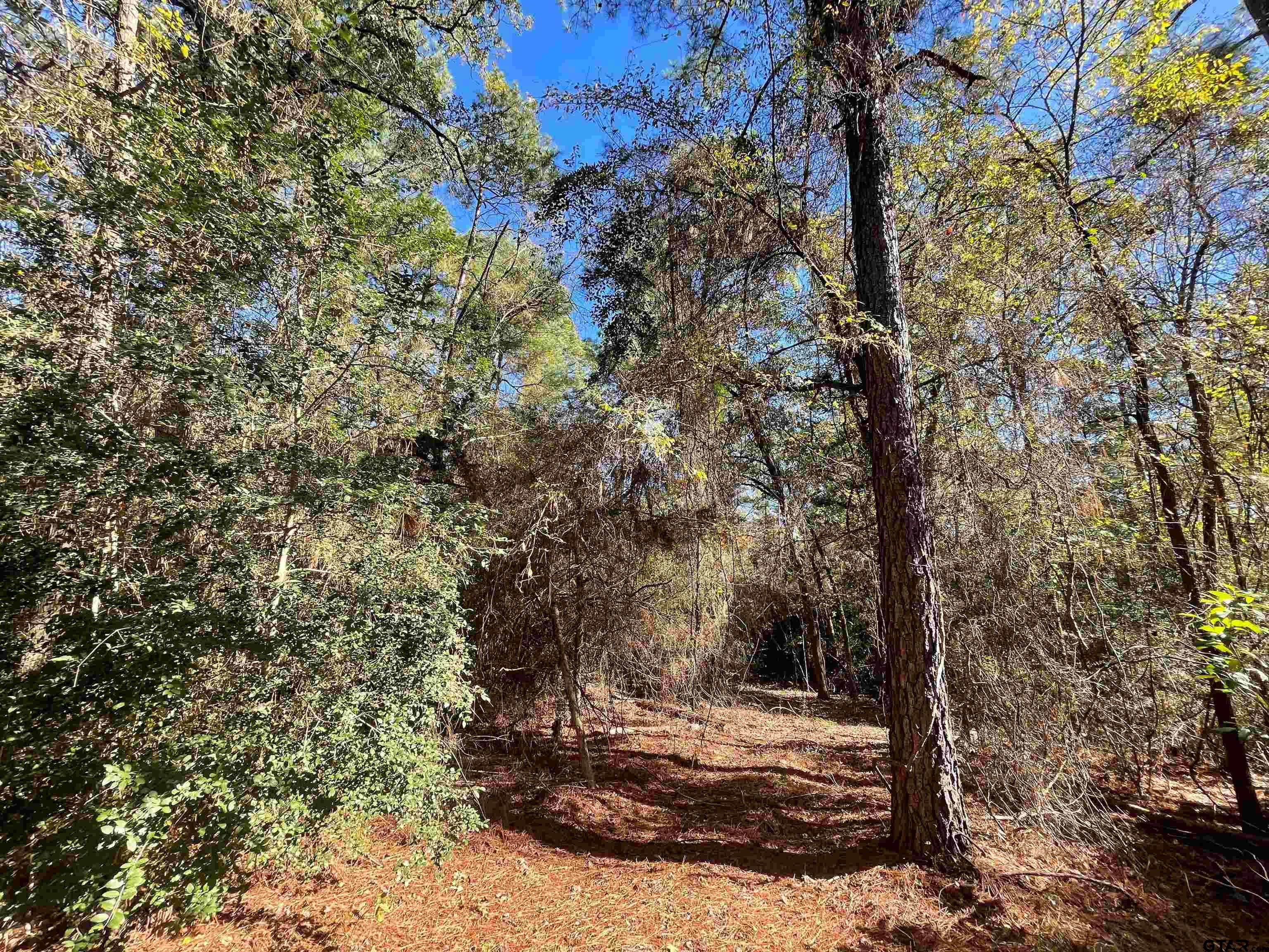 TBD Autumn Wood Trail