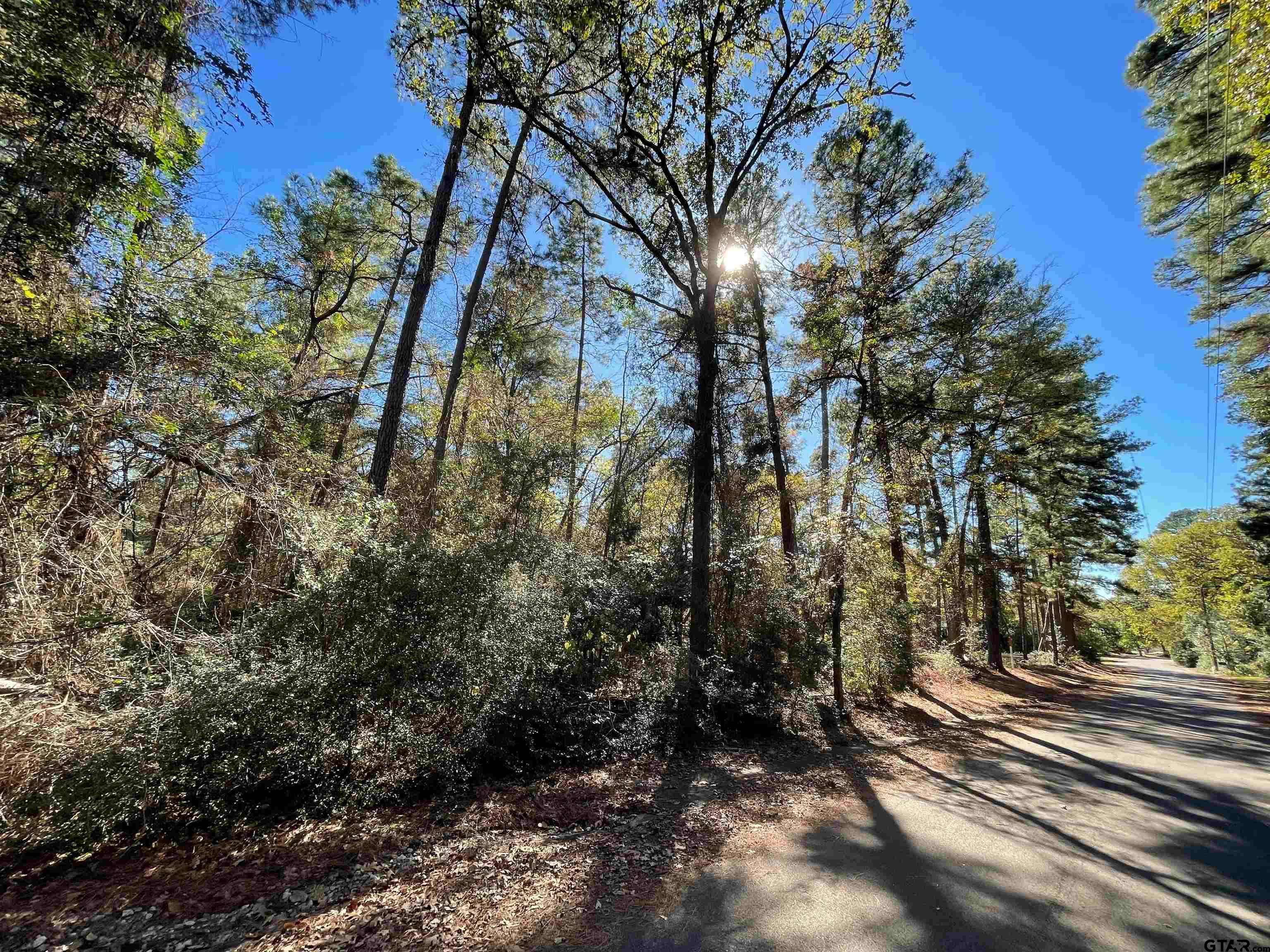 TBD Autumn Wood Trail