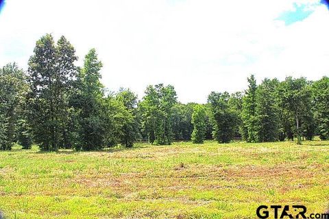 885 Stone Chimney Rd. (Lot 8 CR 3608) Bullard TX 75757