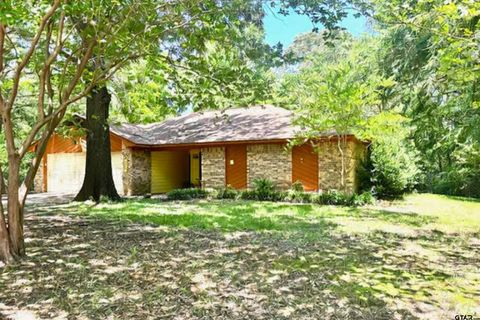 23319 Peninsula Point Frankston TX 75763