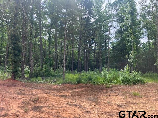TBD High Pines Drive