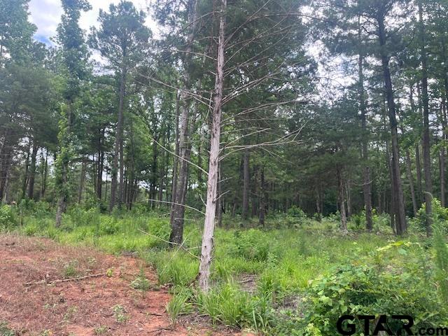 TBD High Pines Drive