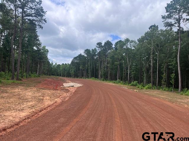 TBD High Pines Drive