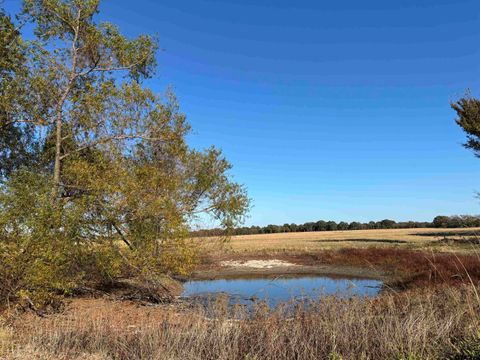 000 FM 1653 Ben Wheeler TX 75754