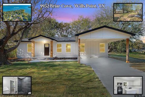 9952 Briar Cove Wills Point TX 75169