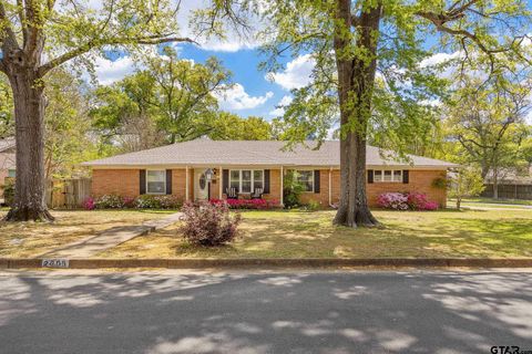 2005 Sterling Dr Tyler TX 75701