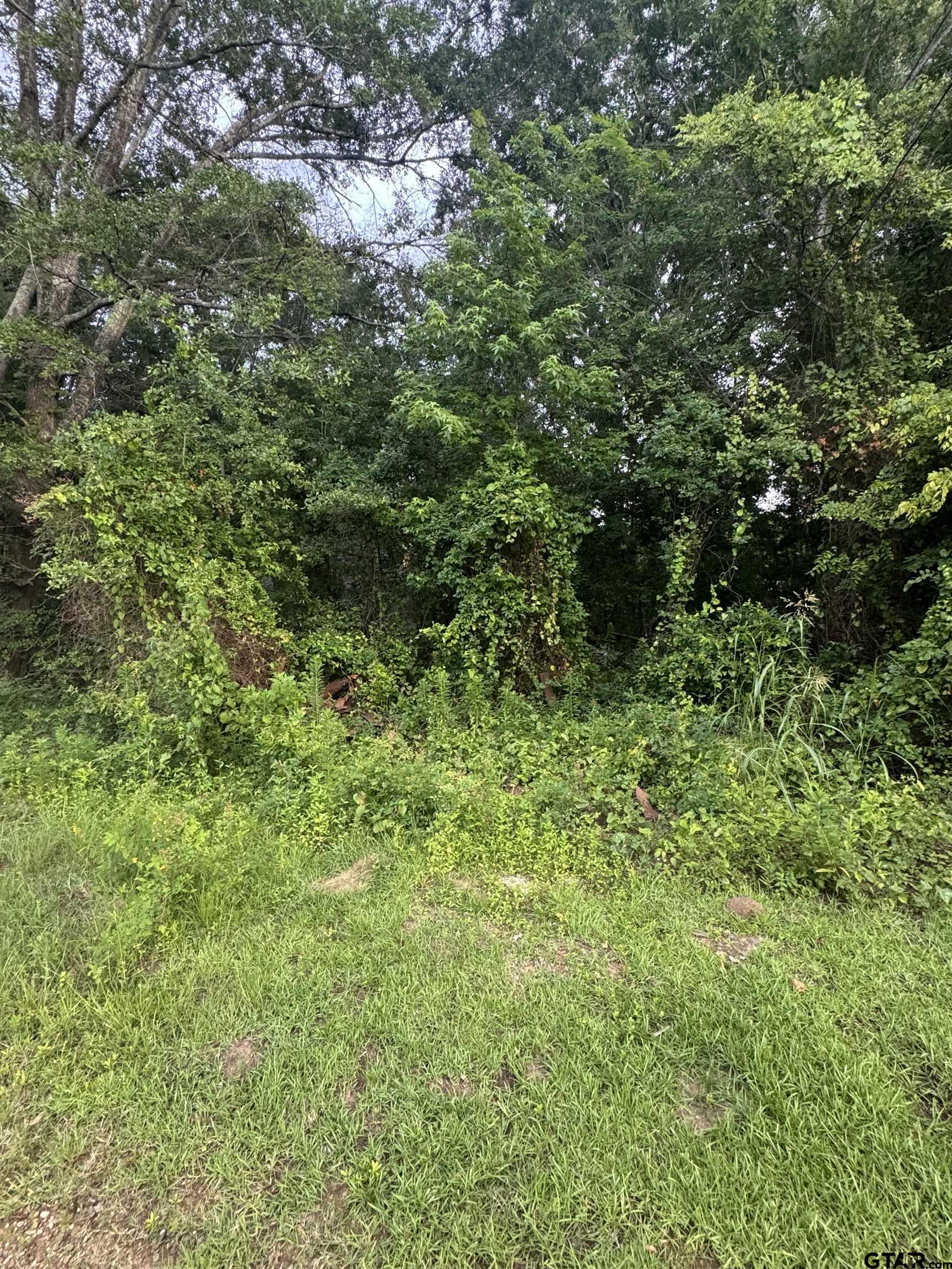 154 PR 4035