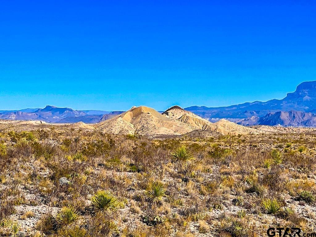 34952 FM 170 & Mariposa Mine Rd.