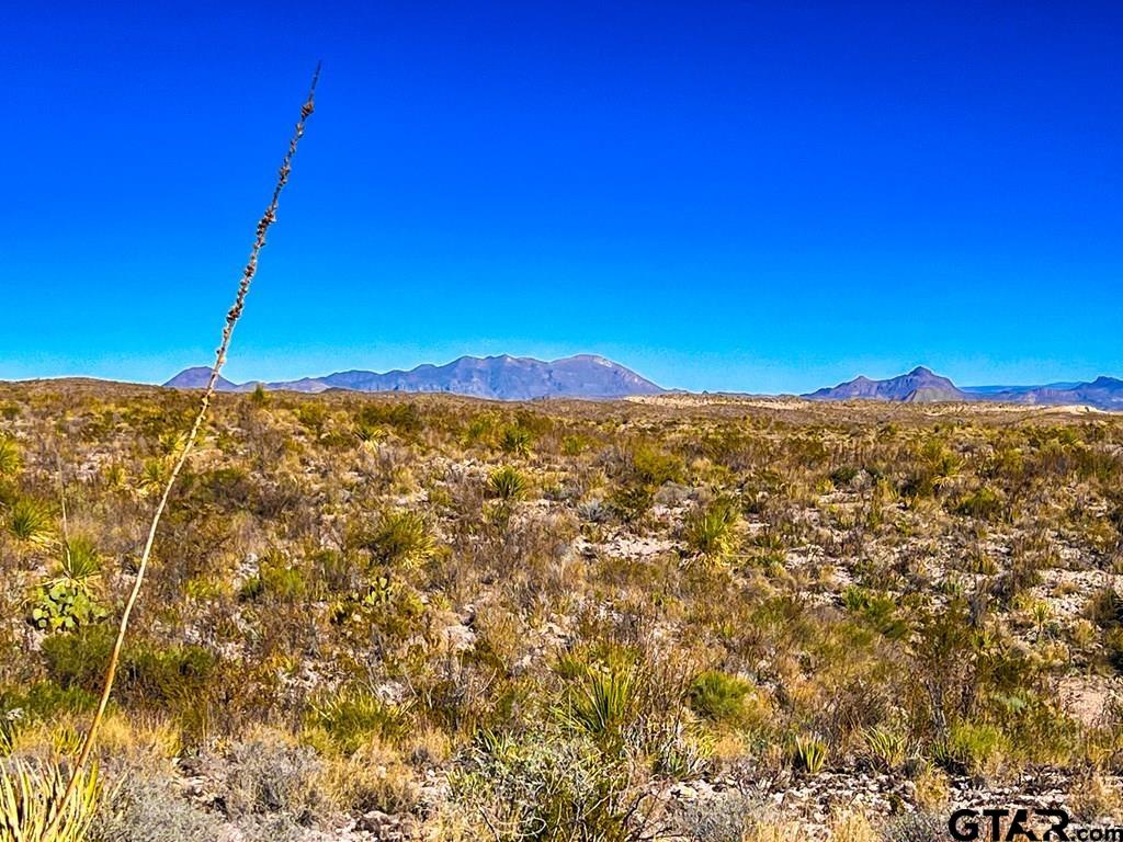 34952 FM 170 & Mariposa Mine Rd.