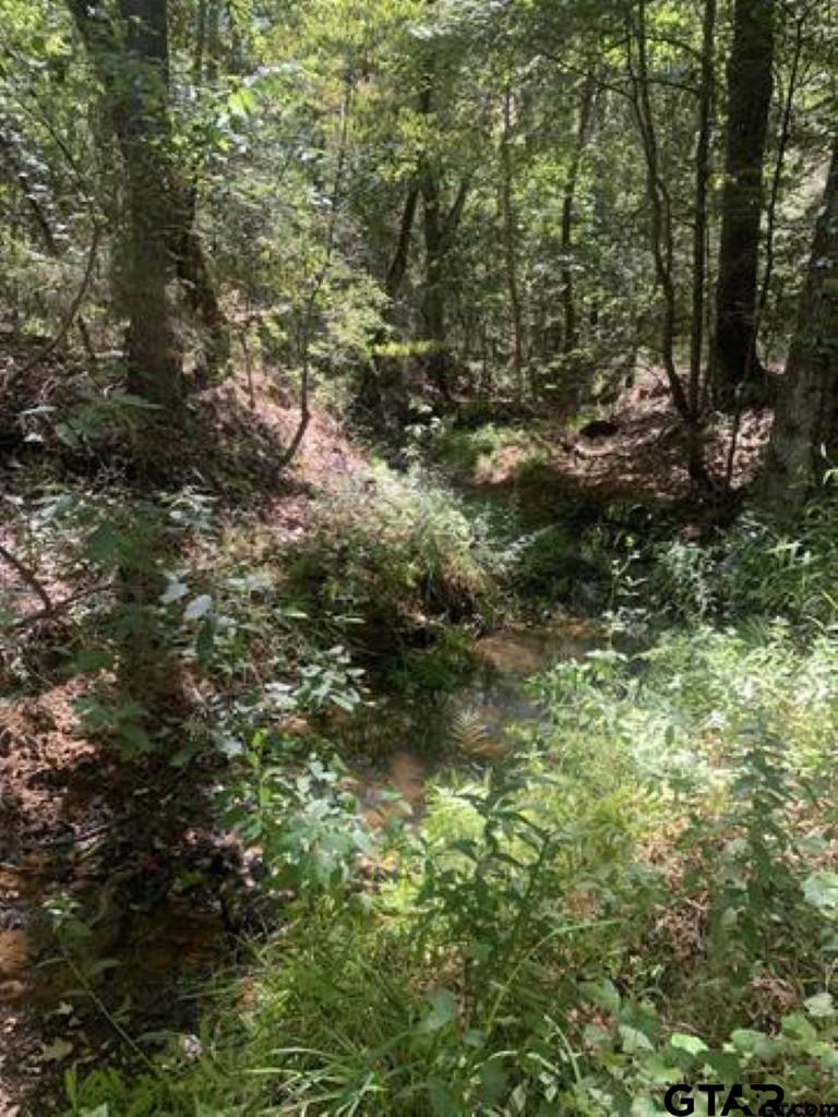 TBD CR 479 (Tract 2)