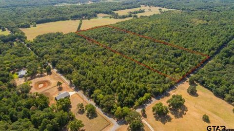 TBD CR 479 (Tract 2) Lindale TX 75771