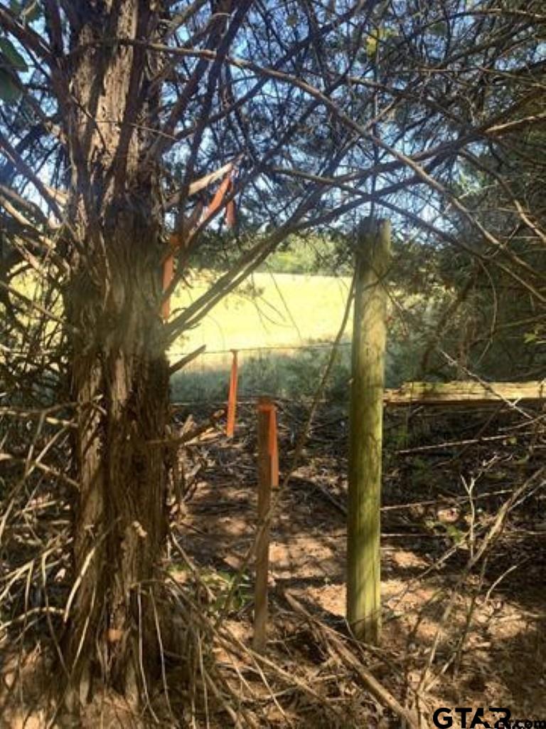 TBD CR 479 (Tract 2)