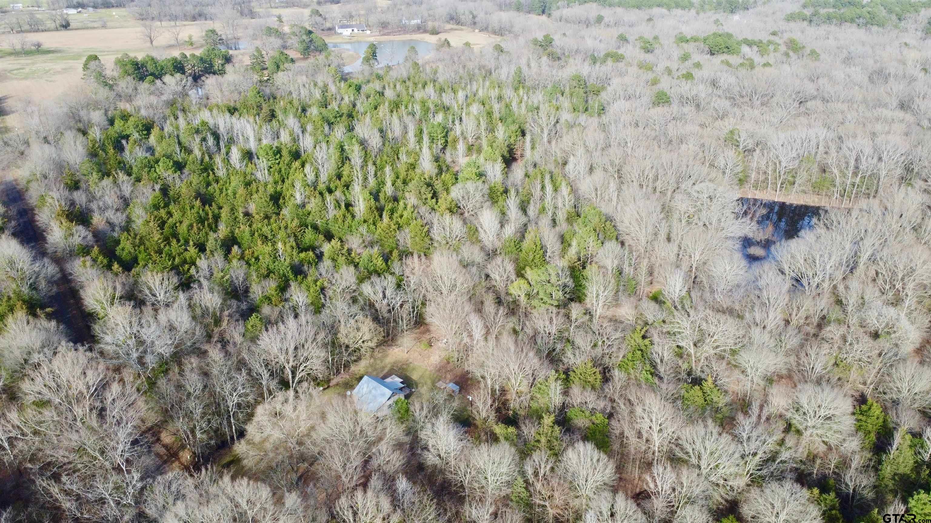 Tract 1 Lone Star Road