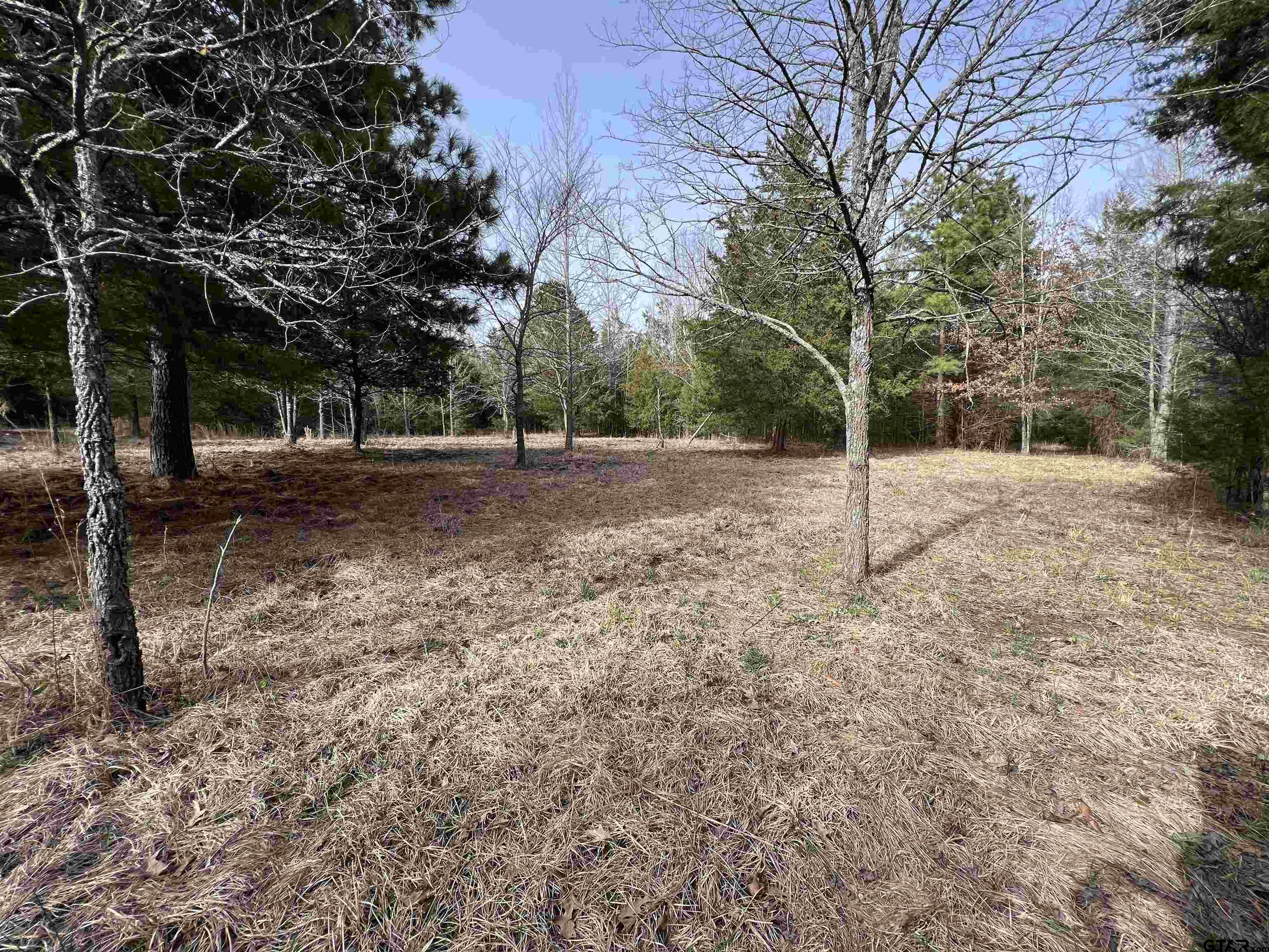 Tract 1 Lone Star Road