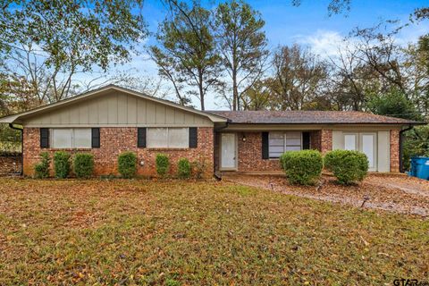 222 Mountain View Dr. Daingerfield TX 75638