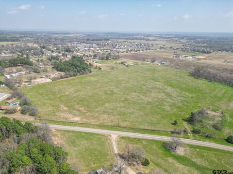 TBD County Road 431 TRACT 1 Lindale TX 75771