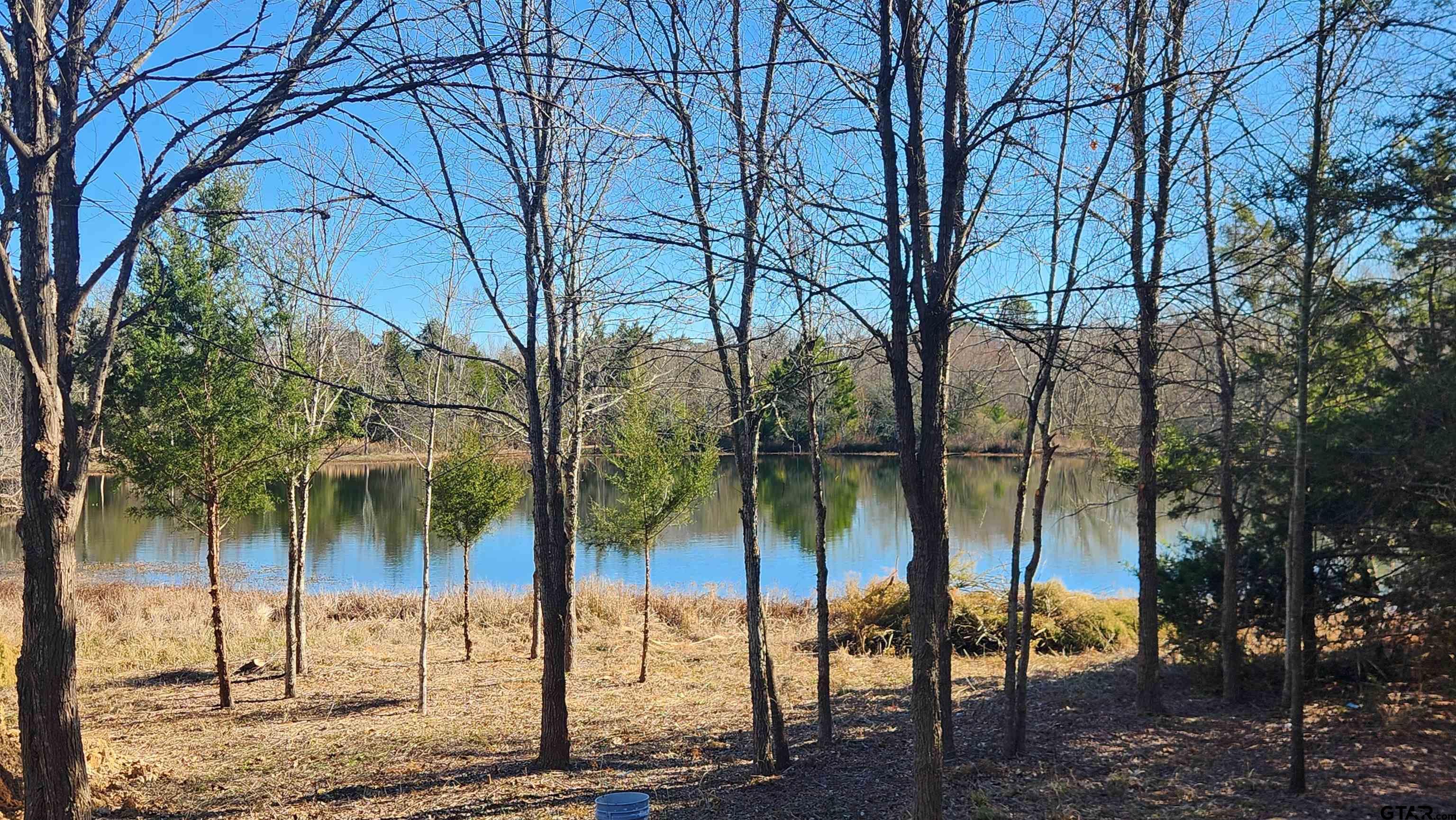 6704 COUNTY ROAD 3700