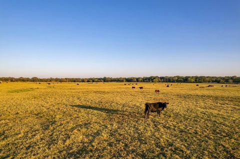 5081 HWY 154 Yantis TX 75497