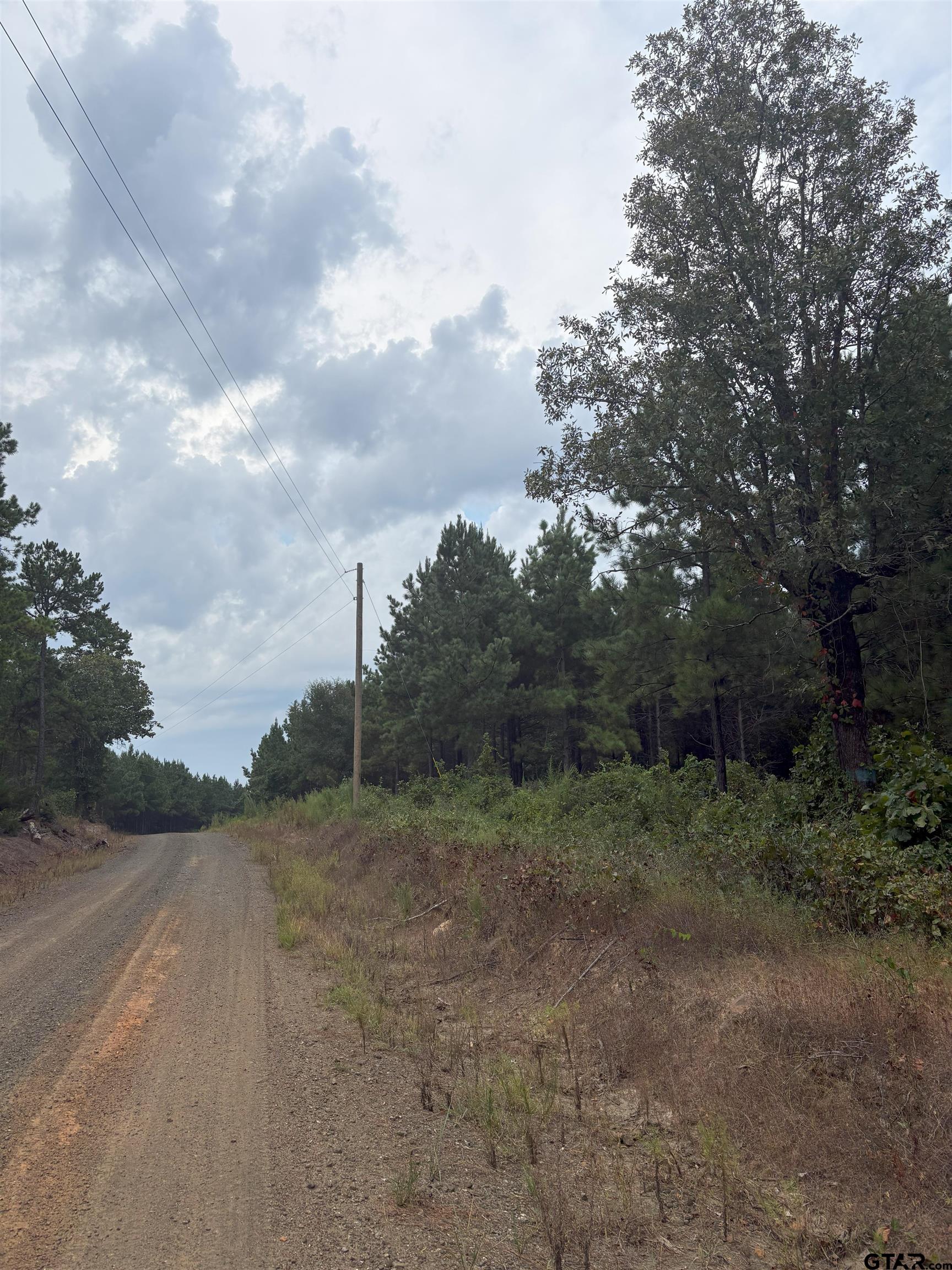 1388 County Road 1060