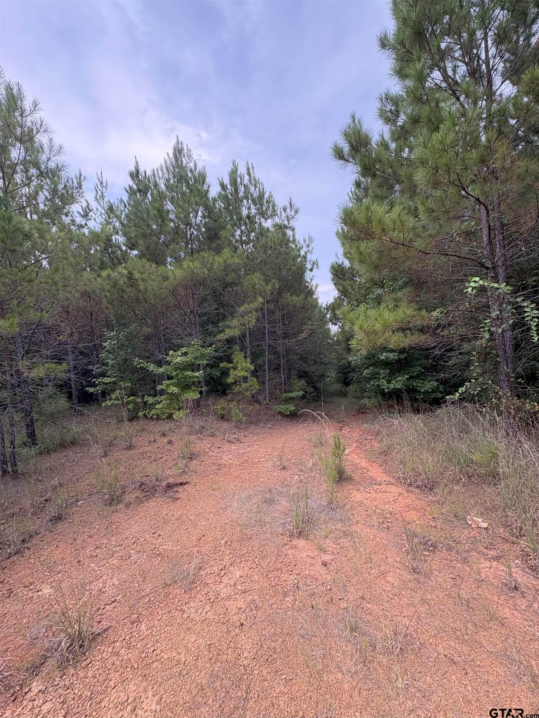 1388 County Road 1060