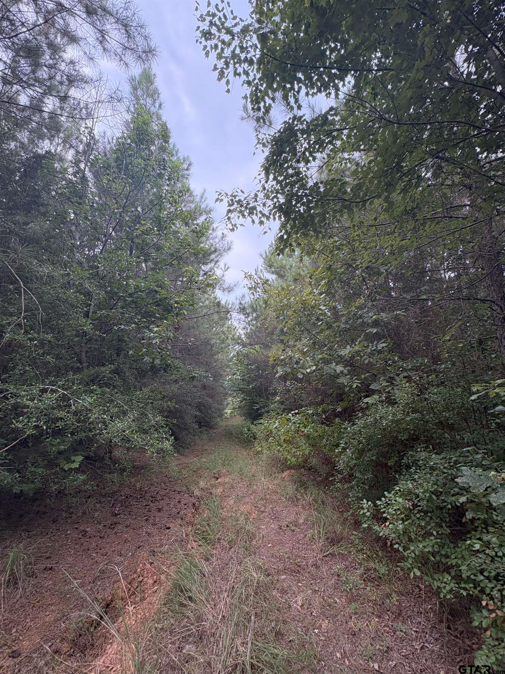 1388 County Road 1060