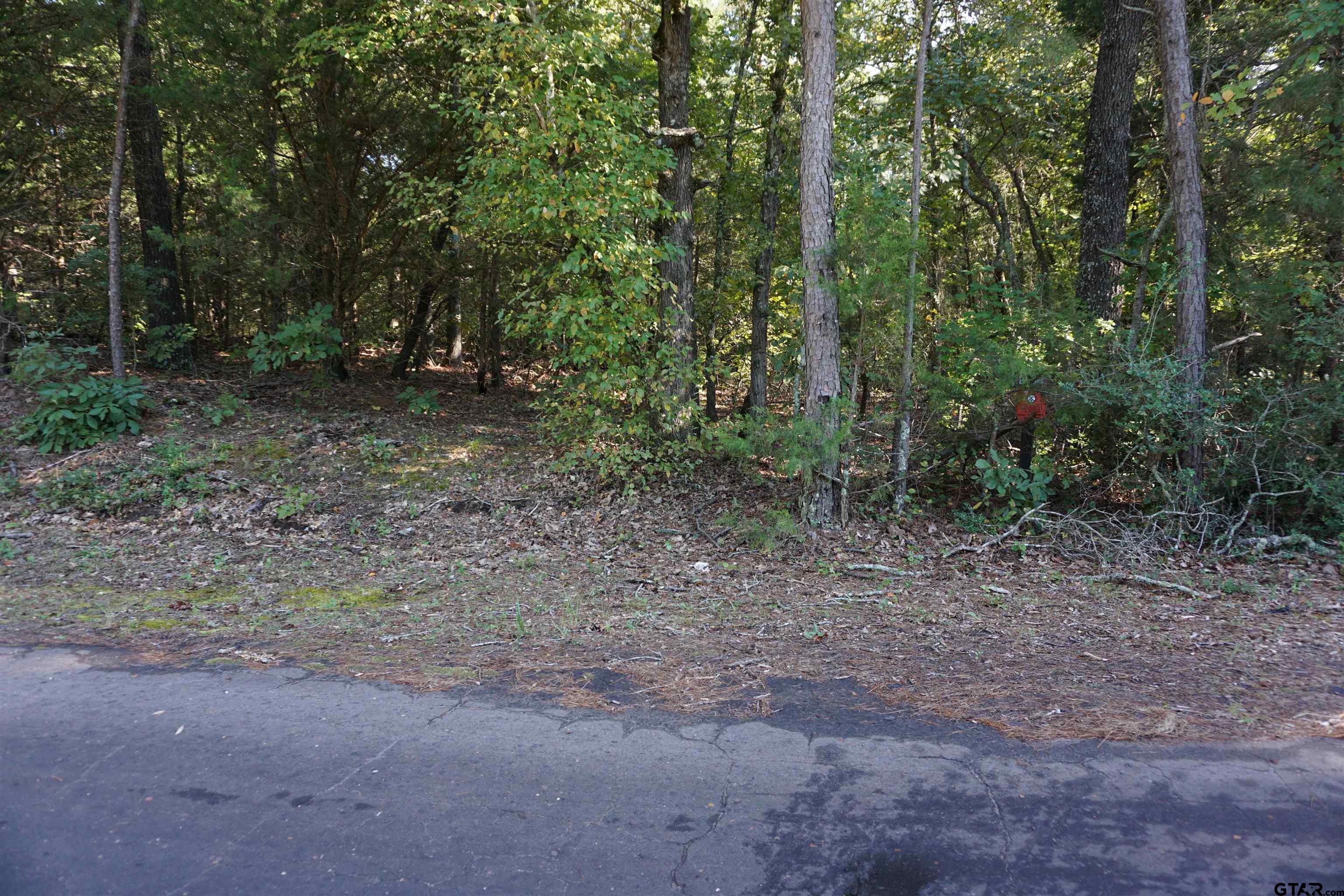 TBD County Road 3847