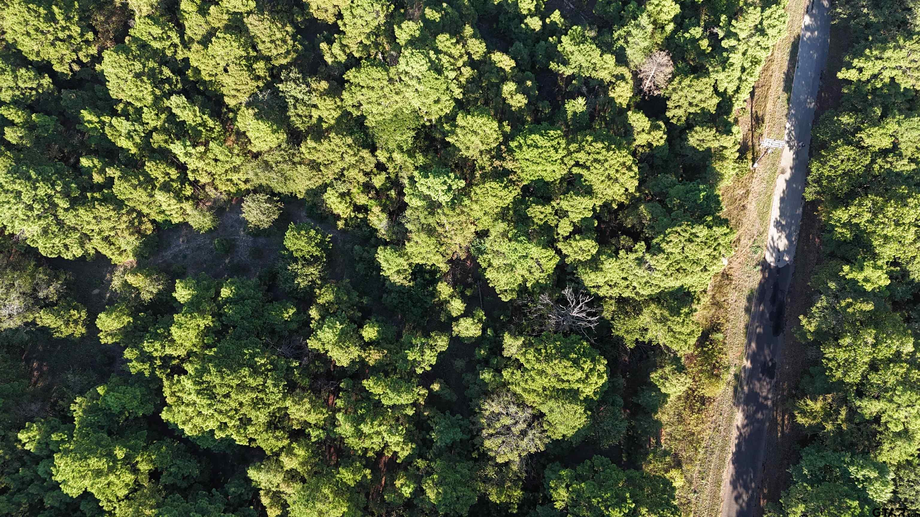 TBD County Road 3847