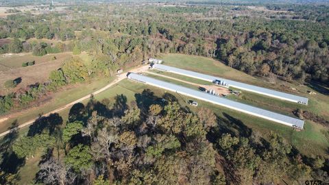 495 County road 3160 Quitman TX 75783