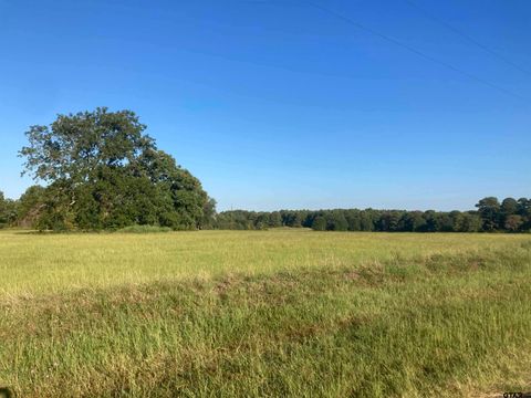 15178 CR 1100 Tyler TX 75703