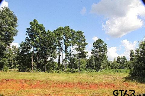 950 Stone Chimney Rd. (Lot 17 CR 3608) Bullard TX 75757