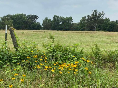 981 CR 3987 Winnsboro TX 75494