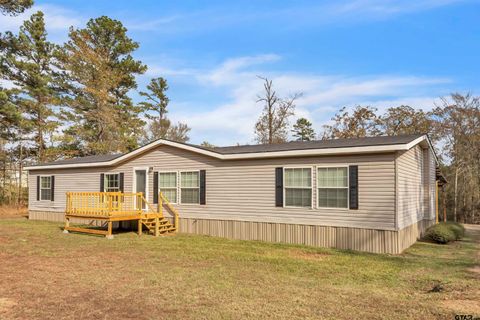 195 Filly Rd Gilmer TX 75645