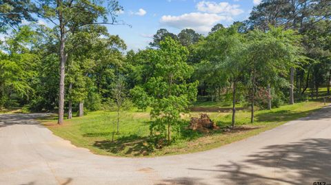 17839 Harbor Ln Flint TX 75762