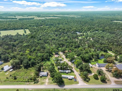 11711 W FM 321 Tennessee Colony TX 75861