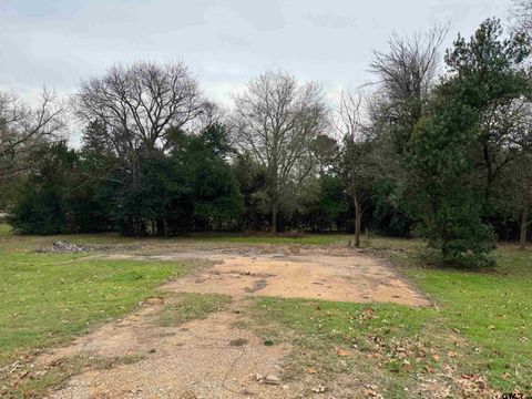 211 3rd Street Grapeland TX 75844