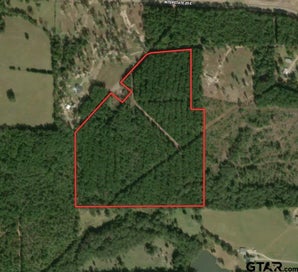 TBD 42 Acres CR 3116 Winona TX 75792