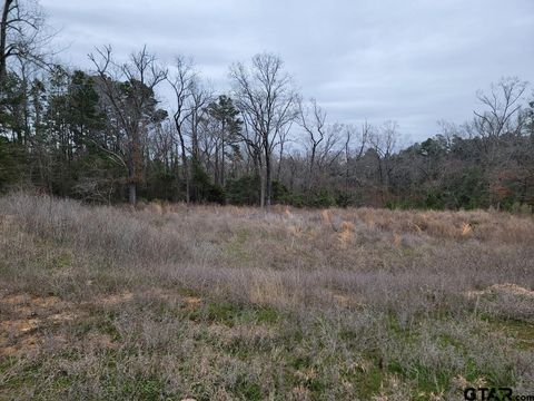 3507 Chapel View Tyler TX 75707