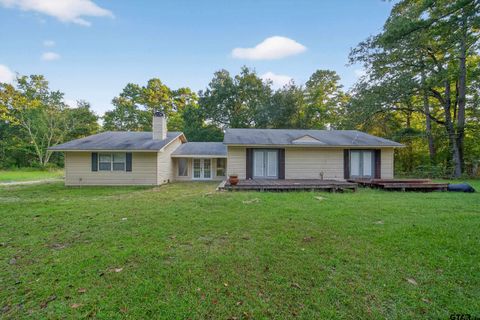 295 CR 3540 Hawkins TX 75765