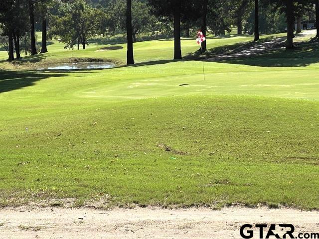 Athens, Texas 75751, United States, 3 Bedrooms Bedrooms, ,4 BathroomsBathrooms,Residential,Active,177804