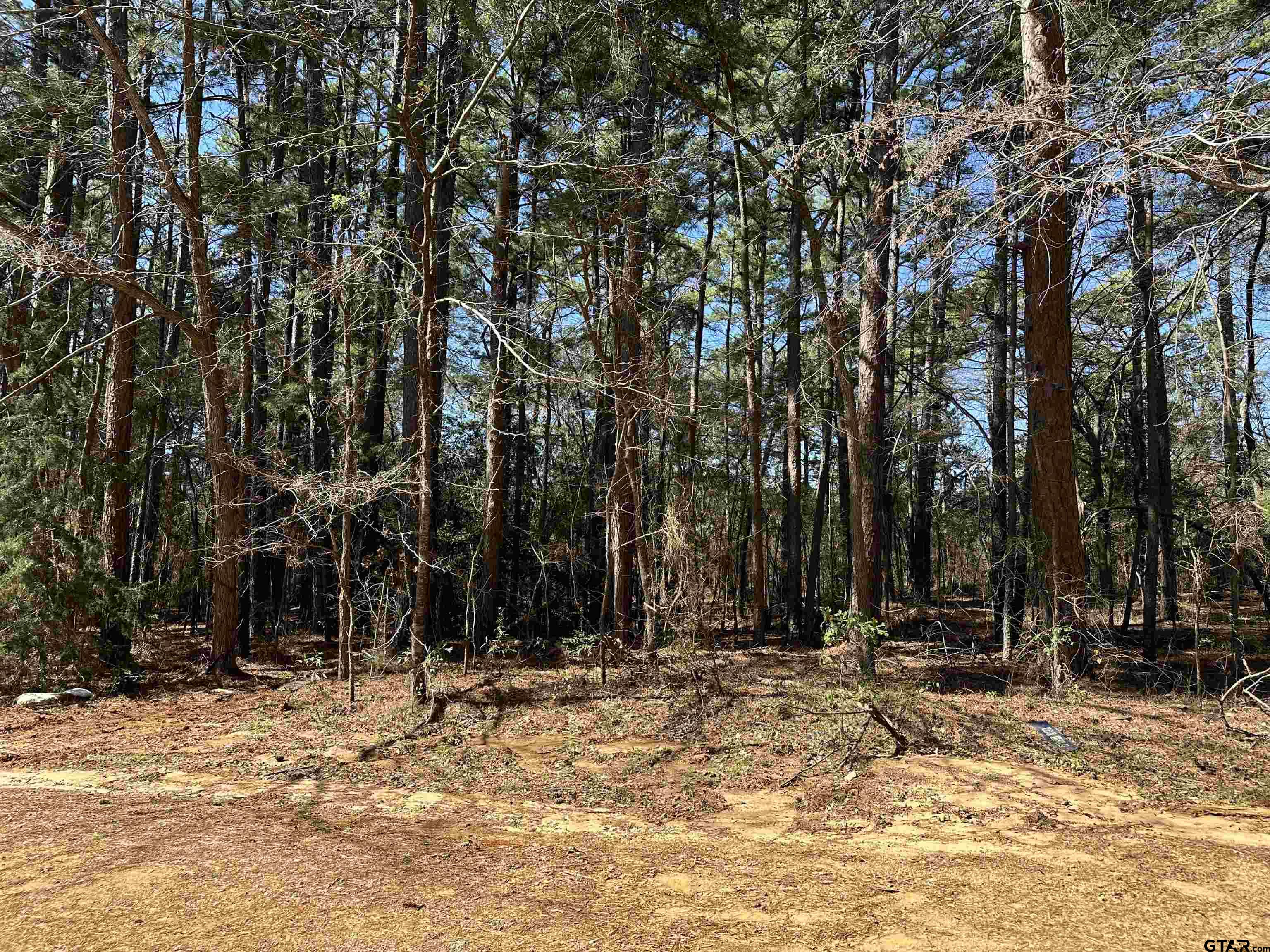 Bullard, Texas 75757, United States, ,Land,Active,22073