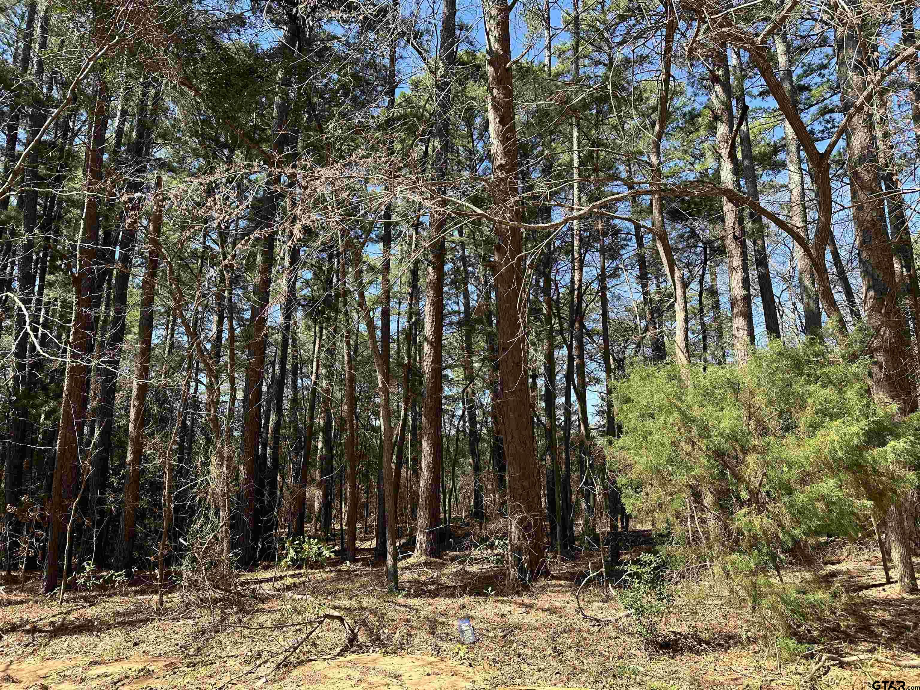 Bullard, Texas 75757, United States, ,Land,Active,22073