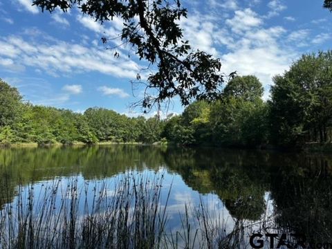 TRACT F 306 PRIVATE ROAD 8507 Van TX 75790