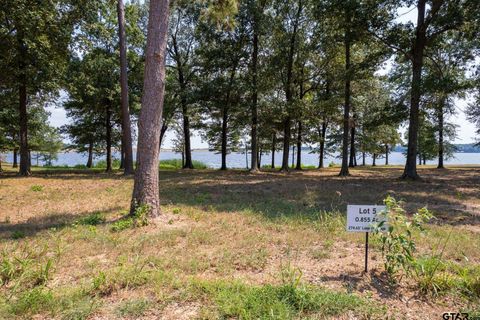 Lot 5 Eagles Nest Circle Mt Vernon TX 75457