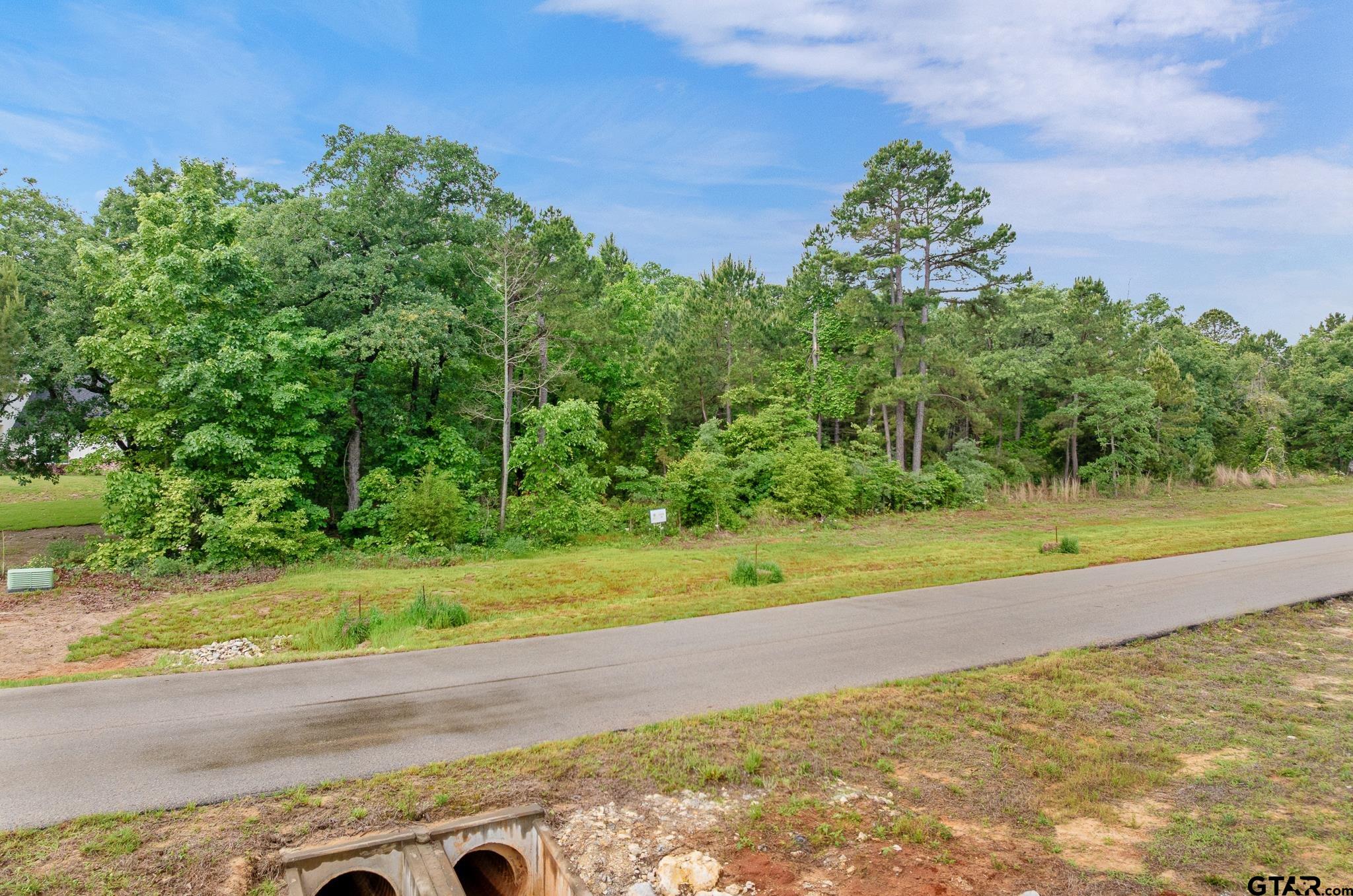 3121 Shadow Pine Drive