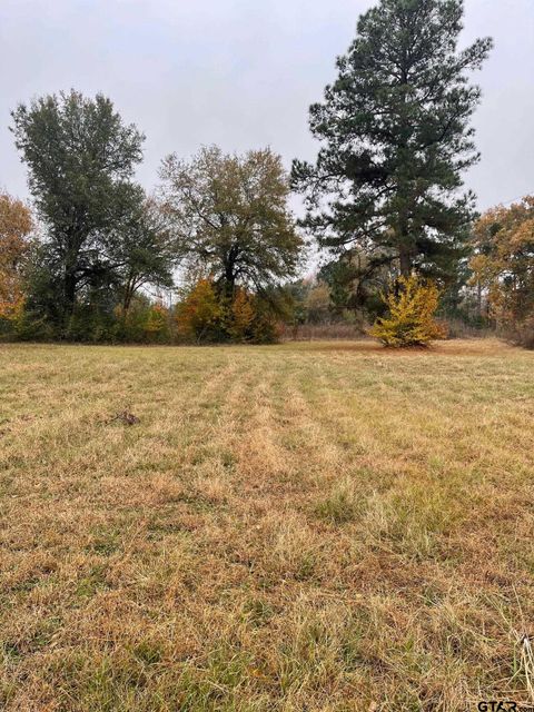 1393 CR 1128 Tyler TX 75704